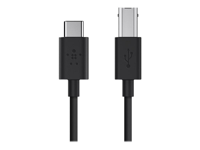 Belkin 2.0 USB-C to USB-B Printer Cable - USB-Kabel - USB-C (M)