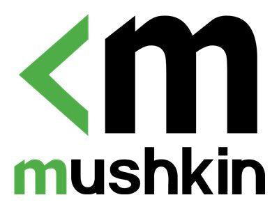 Mushkin Essentials - DDR4 - Modul - 32 GB - DIMM 288-PIN