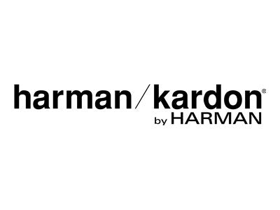 Harman Kardon Citation 300 - Smart-Lautsprecher