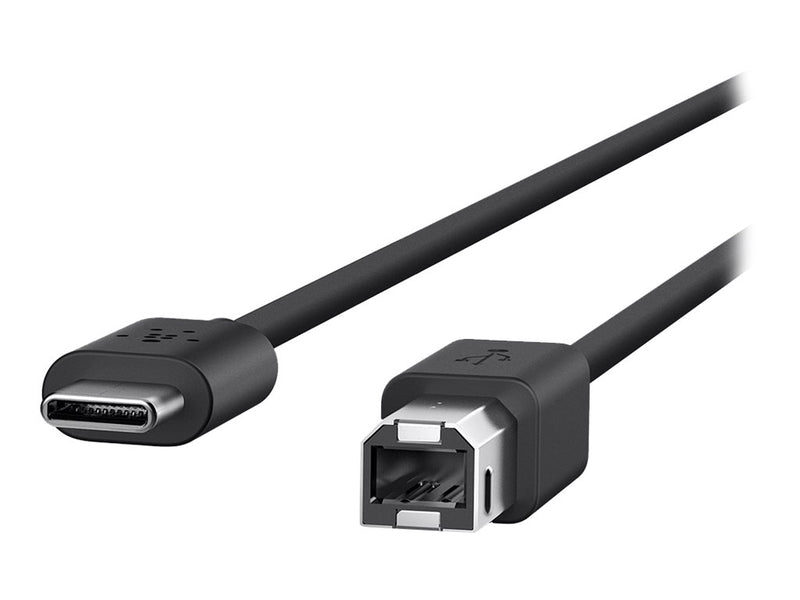 Belkin 2.0 USB-C to USB-B Printer Cable - USB-Kabel - USB-C (M)