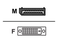 Sharkoon Display-Adapter - DisplayPort (M)
