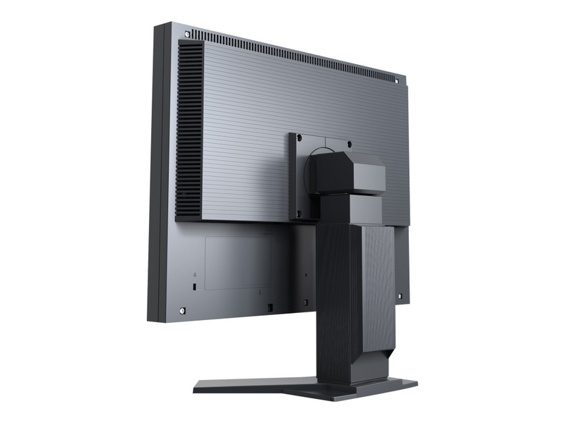 EIZO FlexScan S2133-BK - LED-Monitor - 54 cm (21.3")