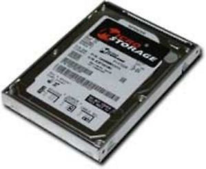 MicroBattery CoreParts - Festplatte - 250 GB - SATA 1.5Gb/s
