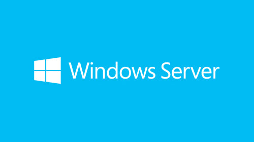 Microsoft Windows Server 2019 - Lizenz - 1 Benutzer-CAL