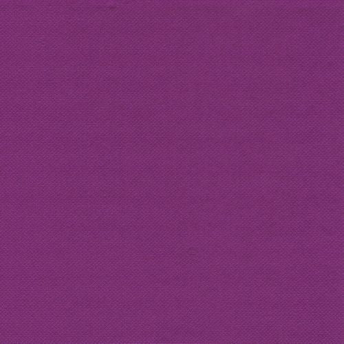 PAPSTAR 10820 - Violett - Seidenpapier - Einfarbig - 54 g/m² - 400 mm - 40 cm