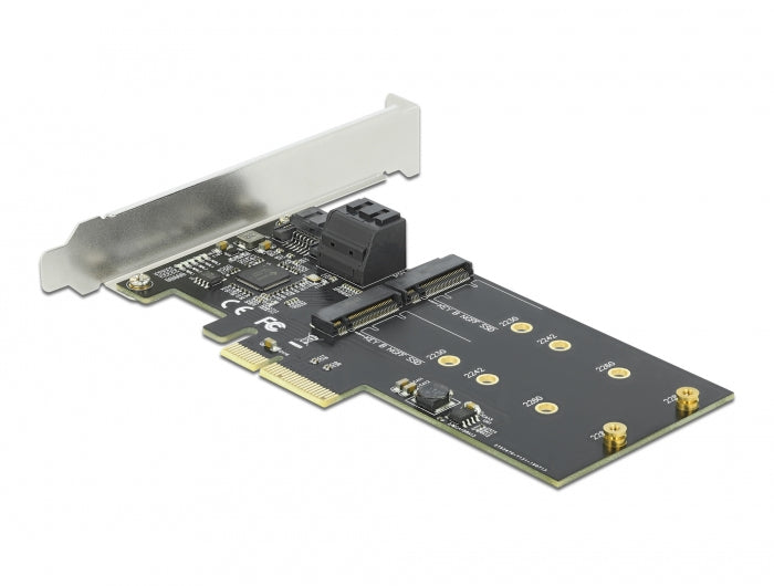 Delock 3 port SATA and 2 slot M.2 Key B PCI Express x4 Card