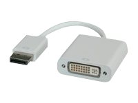 ROLINE Display-Adapter - Dual Link - DisplayPort (M)