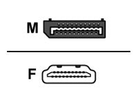Sharkoon Videoanschluß - DisplayPort (M) bis HDMI (W)