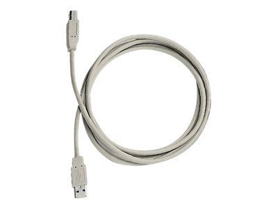 Exsys USB-Kabel - USB (M) bis USB Typ B (M)