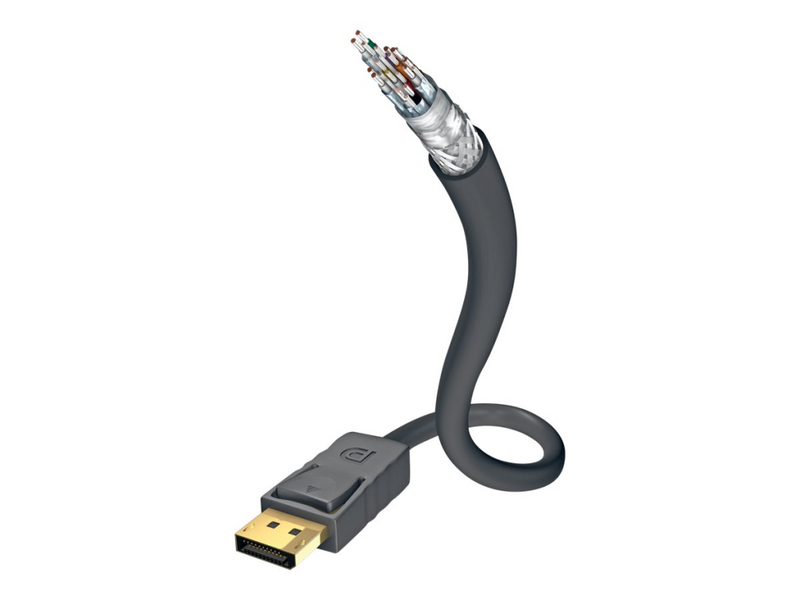 in-akustik Excellence - DisplayPort-Kabel - DisplayPort (M)