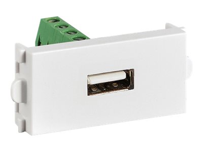 VALUE A/V Modules - Modulare Eingabe - USB Type A - weiß (Packung mit 20)