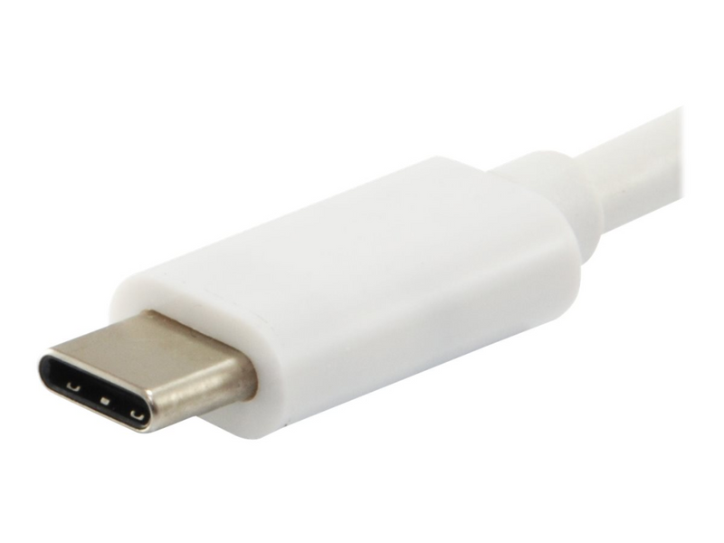 Equip Platinum - USB-Kabel - USB-C (M) bis USB-C (M)