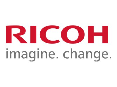 Ricoh 1 - Schwarz - Original - Entwickler-Kit