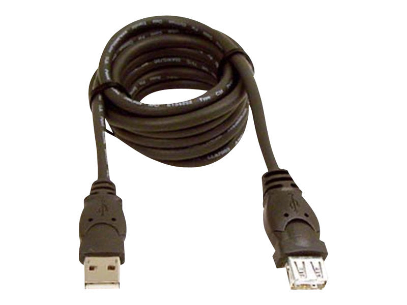 Belkin 10ft USB A/A 2.0 Extension Cable, M/F, 480Mp - USB-Verlängerungskabel - USB (M)