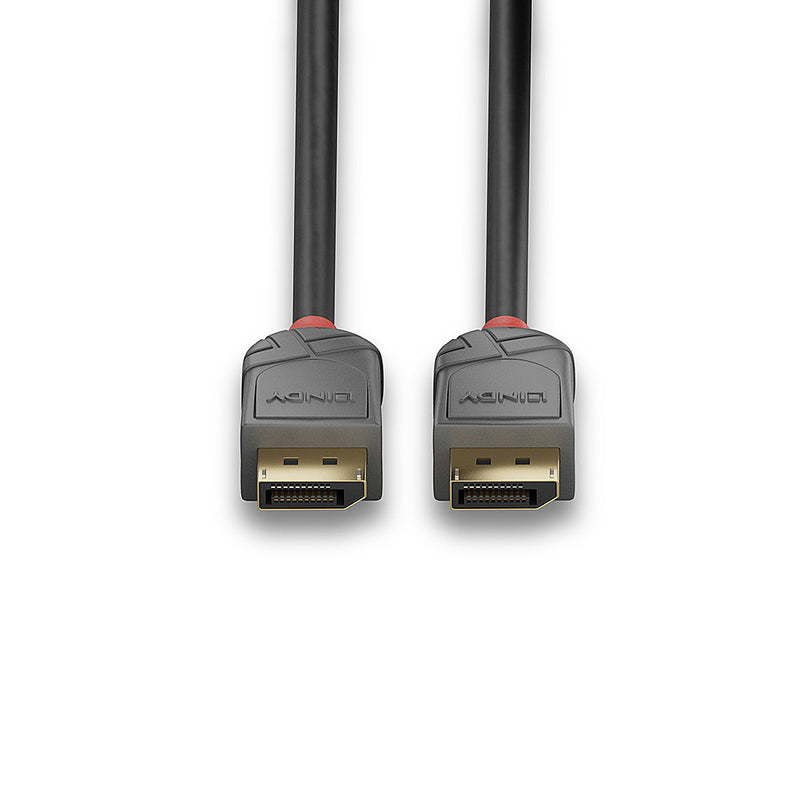 Lindy Anthra Line - DisplayPort-Kabel - DisplayPort (M)