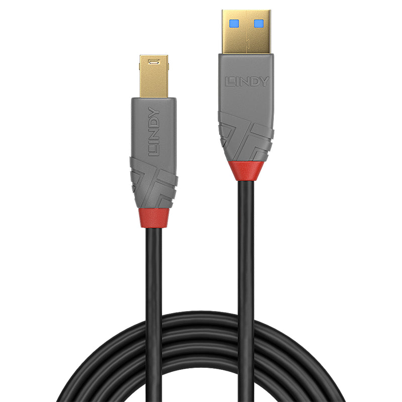 Lindy Anthra Line - USB-Kabel - USB Typ A (M)