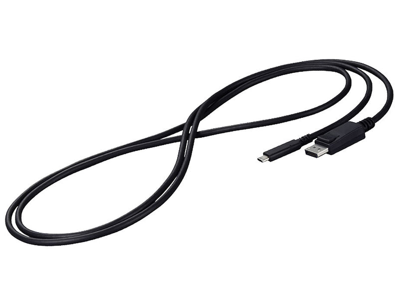 EIZO CP200 - Adapterkabel - USB-C (M) zu DisplayPort (M)