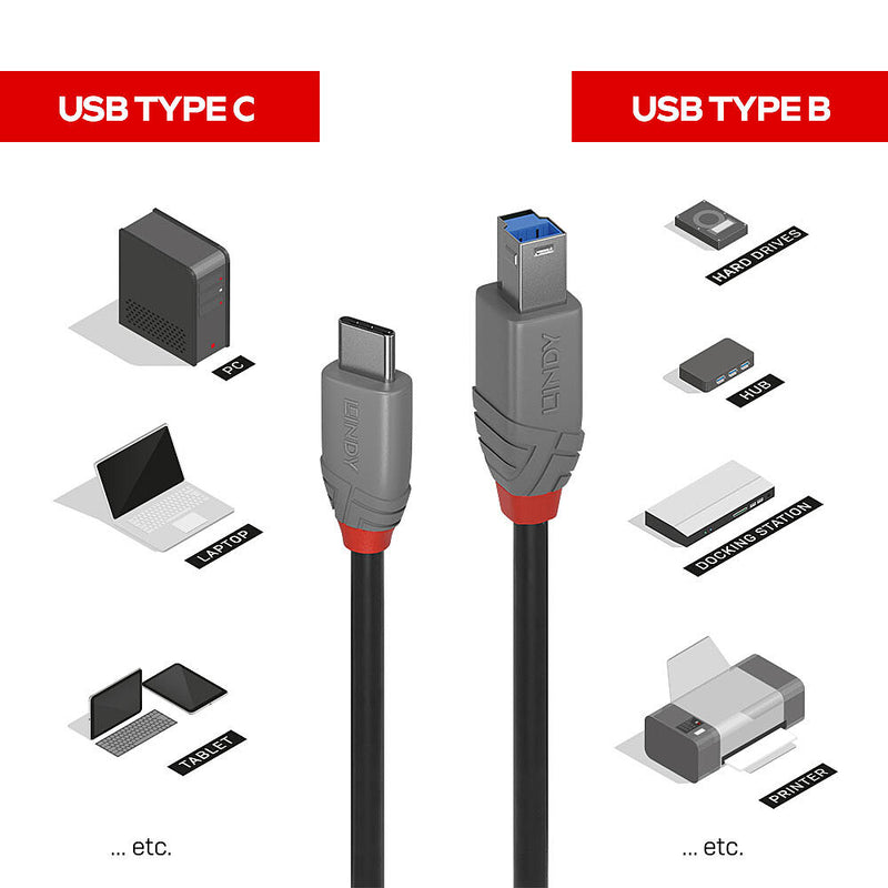 Lindy Anthra Line - USB-Kabel - USB-C (M) zu USB Type B (M)