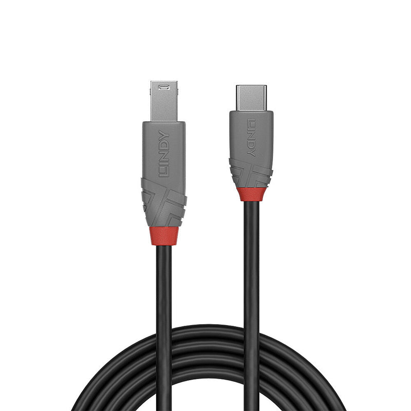 Lindy Anthra Line - USB-Kabel - USB-C (M) zu USB Type B (M)