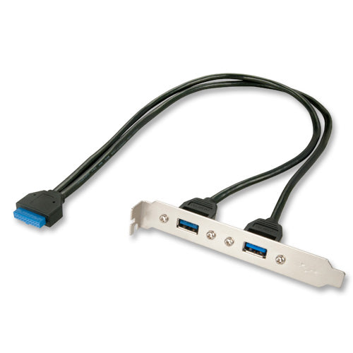 Lindy 2 Port USB 3.0 PC Back Plate - USB-Konsole - USB (W)