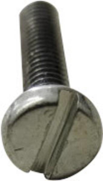 Toolcraft 104164 Viti cilindriche M3 3 mm Taglio DIN 84 Acciaio galvanizzato zinco 200 pz.