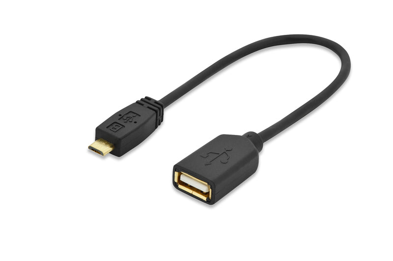 ednet.  USB-Adapter - Micro-USB Typ B (M) bis USB (W)